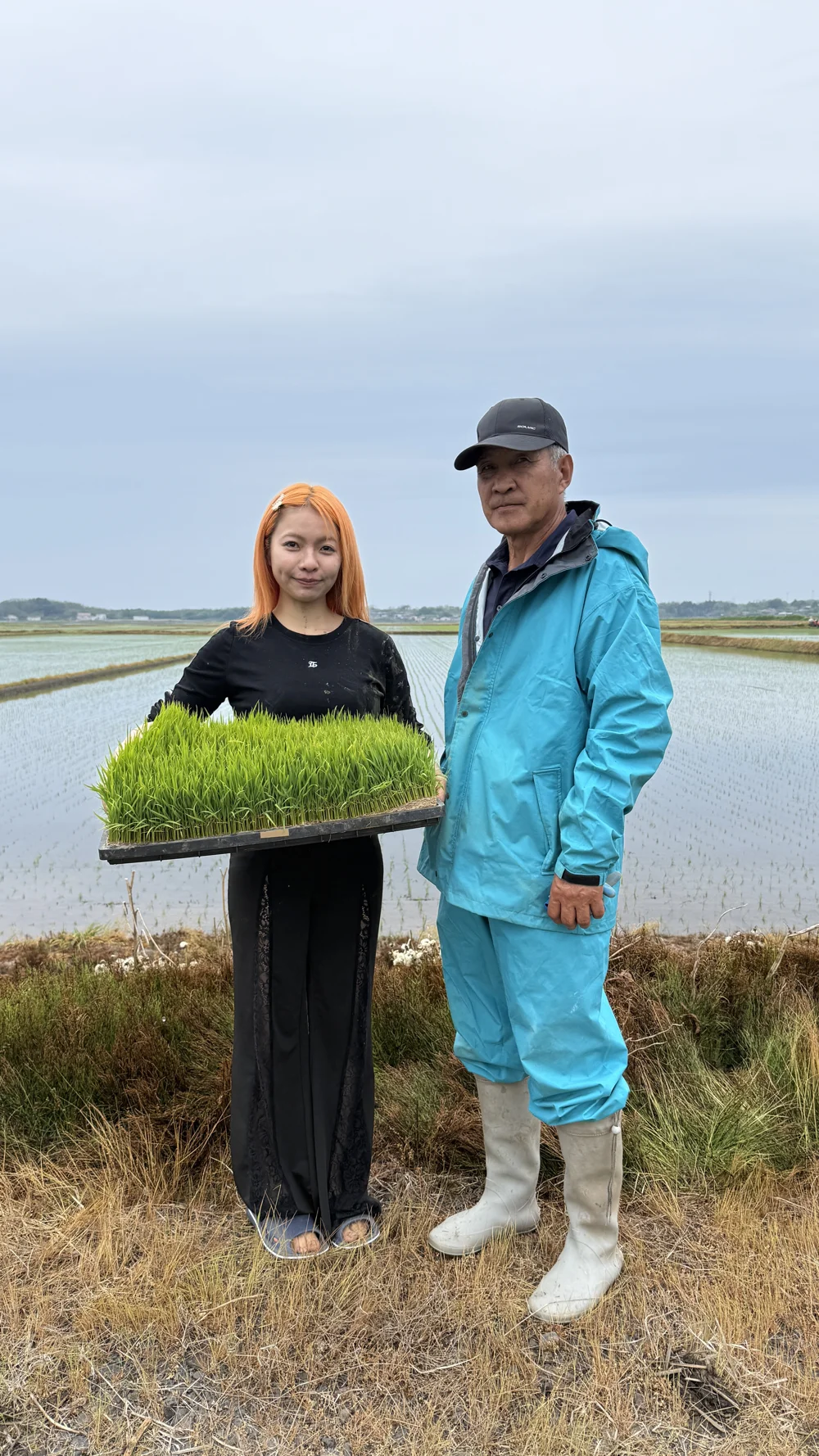 田んぼのそばで苗を手にする二人